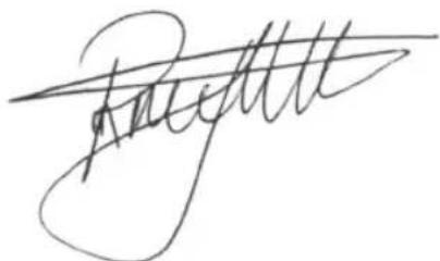 BESTRON AHD1400W - CE-KONFORMITÄTSERKLÄRUNG - 1