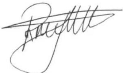 BESTRON AHD1400W - CERTIFICACION DE CONFORMIDAD (CE) - 1