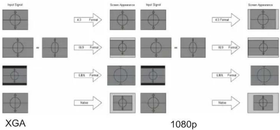 OPTOMA DH1017 - Format - 1