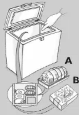 BAUKNECHT GT 193 A2+ - Einfrierten frischer Lebensmittel - 1