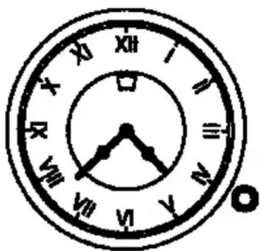 Foster 7101 642 - GRILLEN - 6