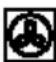 Foster 7101 342 - FAN COOKING - 2