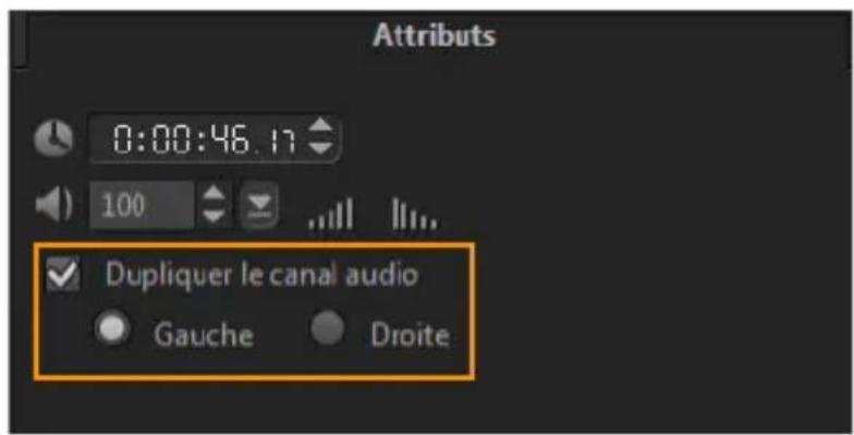 COREL VideoStudio Pro X7 - Duplication d'un canal audio - 1