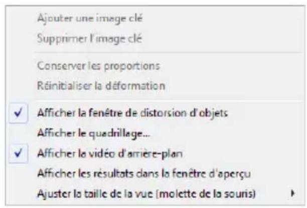 COREL VideoStudio Pro X7 - Partie Description - 3