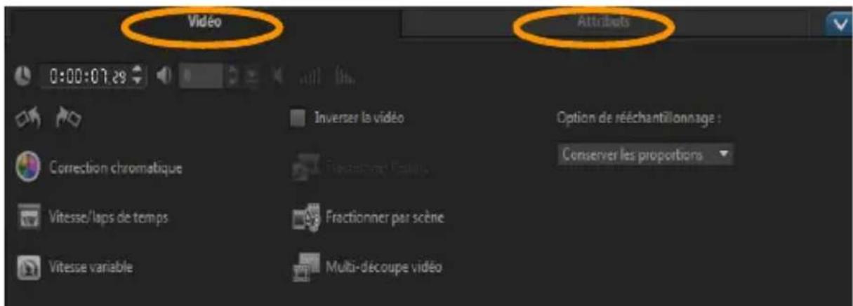 COREL VideoStudio Pro X7 - Utilisation du panneau Options dans l'espace de travail   Éditer - 1