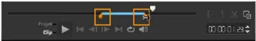 COREL VideoStudio Pro X7 - Pour appliquer une animation au texte courant - 1