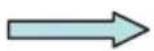 ROBLIN Eclat 2 900 Murale - CH - 20