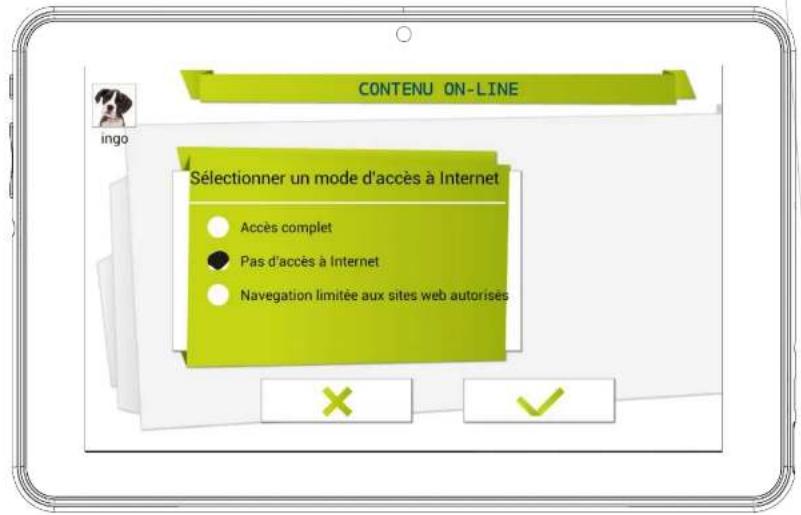 INGO INU019D - Contenu en ligne - 1