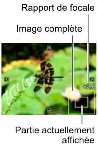 CASIO Exilim EXZS12 - Agrandissement d'une image affichée à l'écran - 1