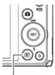 CASIO Exilim EXZS12 - Mettez l'appareil photo en service et appuyez sur [▶] (PLAY) pour accéder au mode PLAY. - 1