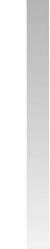 Fein ASse 636 - 48