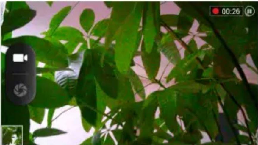 Sunstech uSUN250 - Caméra - 4