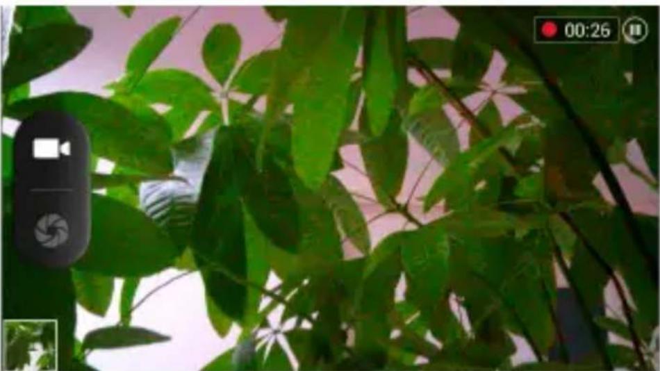 Sunstech uSUN250 - Video camera - 1