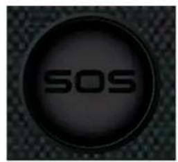 PROFOON PM595 - Pendant SOS: pour clôturer SOS - 2