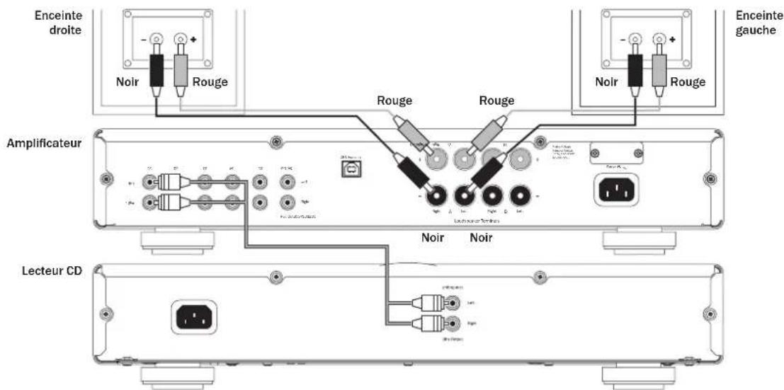 CAMBRIDGE Azur 351A - Raccordement de base - 1