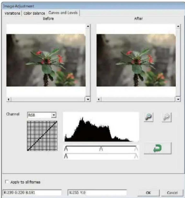 Reflecta ProScan 10T - Curves and Levels - 1
