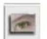 Reflecta ProScan 10T - Preview Window Area [Fixed Windows] - 1
