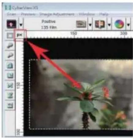 Reflecta ProScan 10T - Preview Window Area [Fixed Windows] - 3