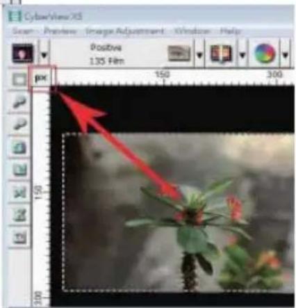 Reflecta ProScan 10T - section fenêtre de prévisualisation [fenêtres fixes] - 3