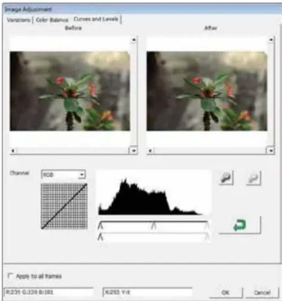 Reflecta ProScan 10T - Curves and Levels (Curven en Niveau) - 1