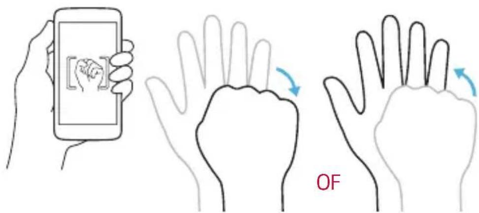 Komu K8 - OF - 1