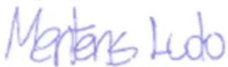 PowerPlus POWX308 - Declaration de conformite - 3