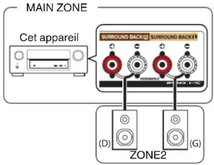 MAIN ZONE Cet appareil SURROUND BACK1 SURROUND BACK1 (+) - + - + - AERIKANDER SPT. 2024-8-116C (D) (ZONE2) (G)
