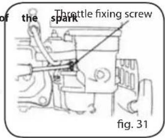 Lavor Independent 2300 - ADJUSTMENT OF CARBURETOR IDLING - 1