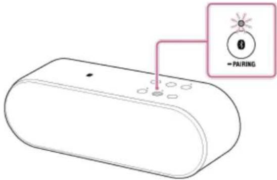 SONY SRSX2 - Remarques sur l'utilisation - 1