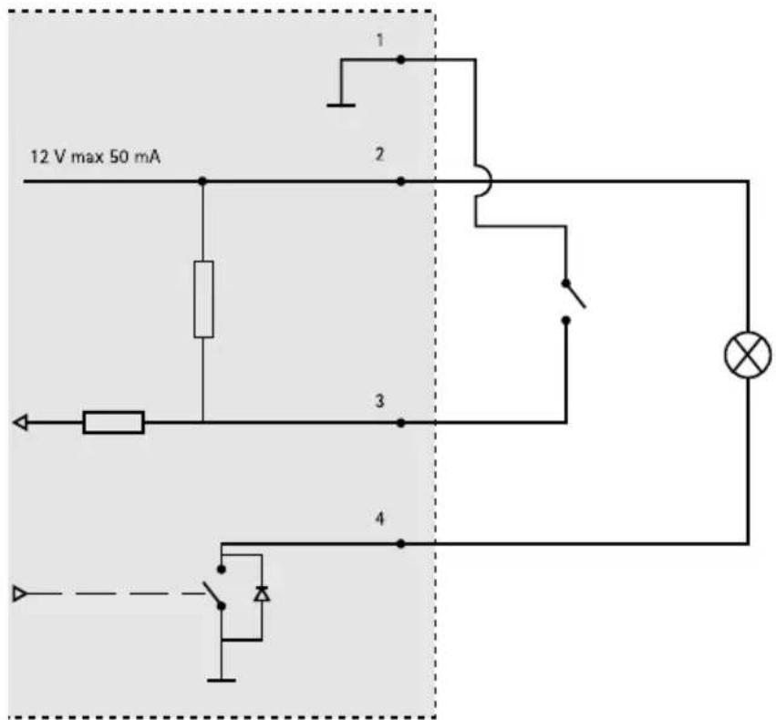 AXIS Q3505V - コネカ衣タター - 2