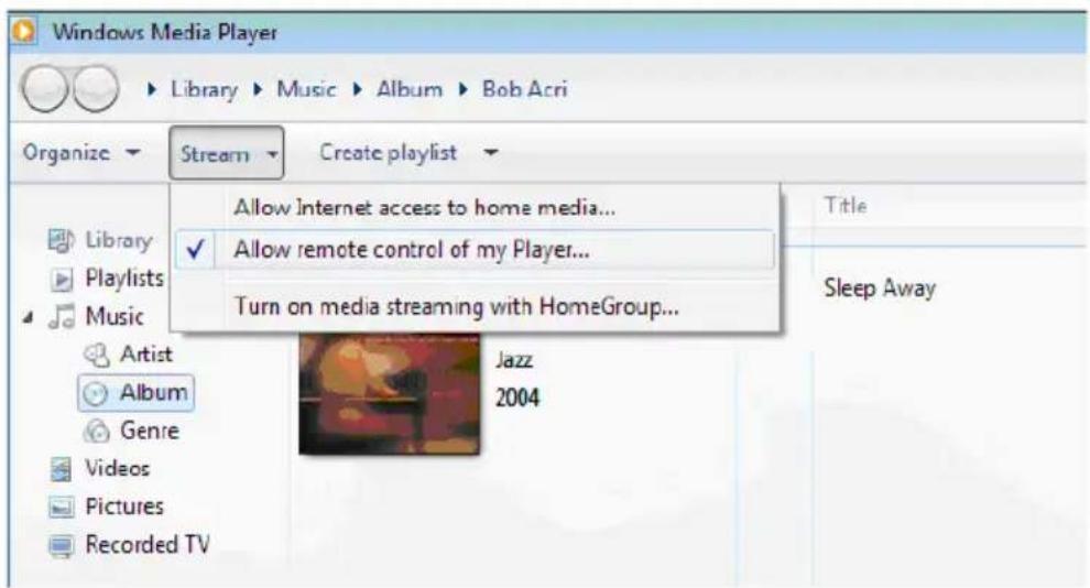 Noxon iRadio 14100 - DLNA-Funktion - 2
