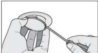 NEFF DSE 3949 S - Halogeenlampen vervangen - 1