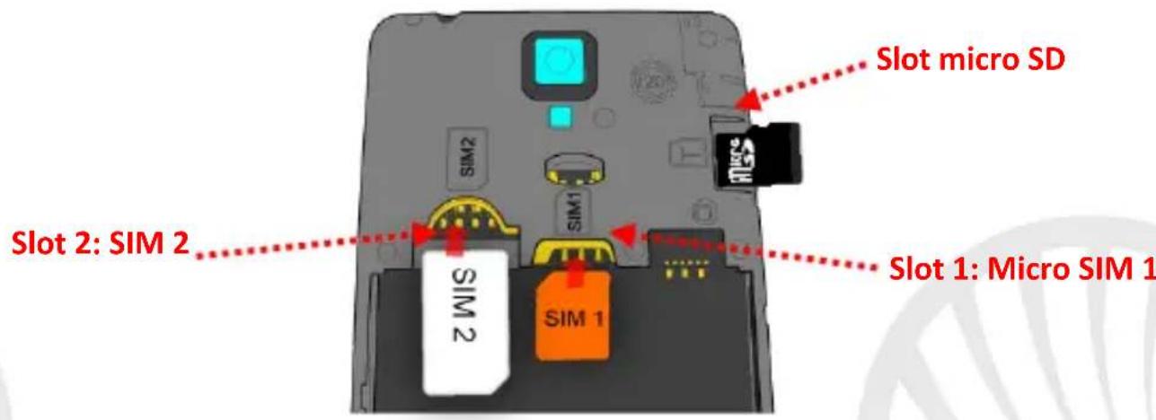 NGM-Mobile ARTB - Assemblaggio - 1