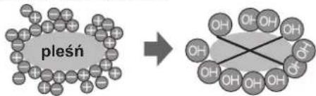 SHARP SJSC700VWH - Uwagi odzialaniu Jonizatora „Plasmacluster" - 1