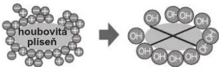 SHARP SJSC700VWH - Poznámky ohledné provozu ionizátoru „Plasmacluster" - 1