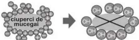 SHARP SJSC700VWH - Note despre fonctionarea dispositivului de ionizare "Plasmacluster" - 1