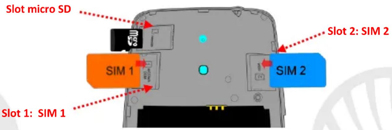 NGM-Mobile EVOLVE - Assemblaggio - 1