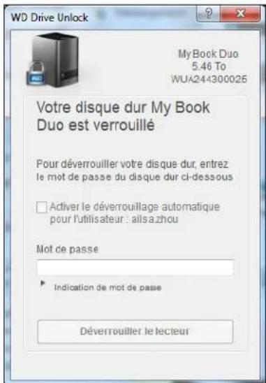 WESTERN DIGITAL WDBLWE0120JCHEESN - Avec I'utilitaire WD Drive Unlock - 1