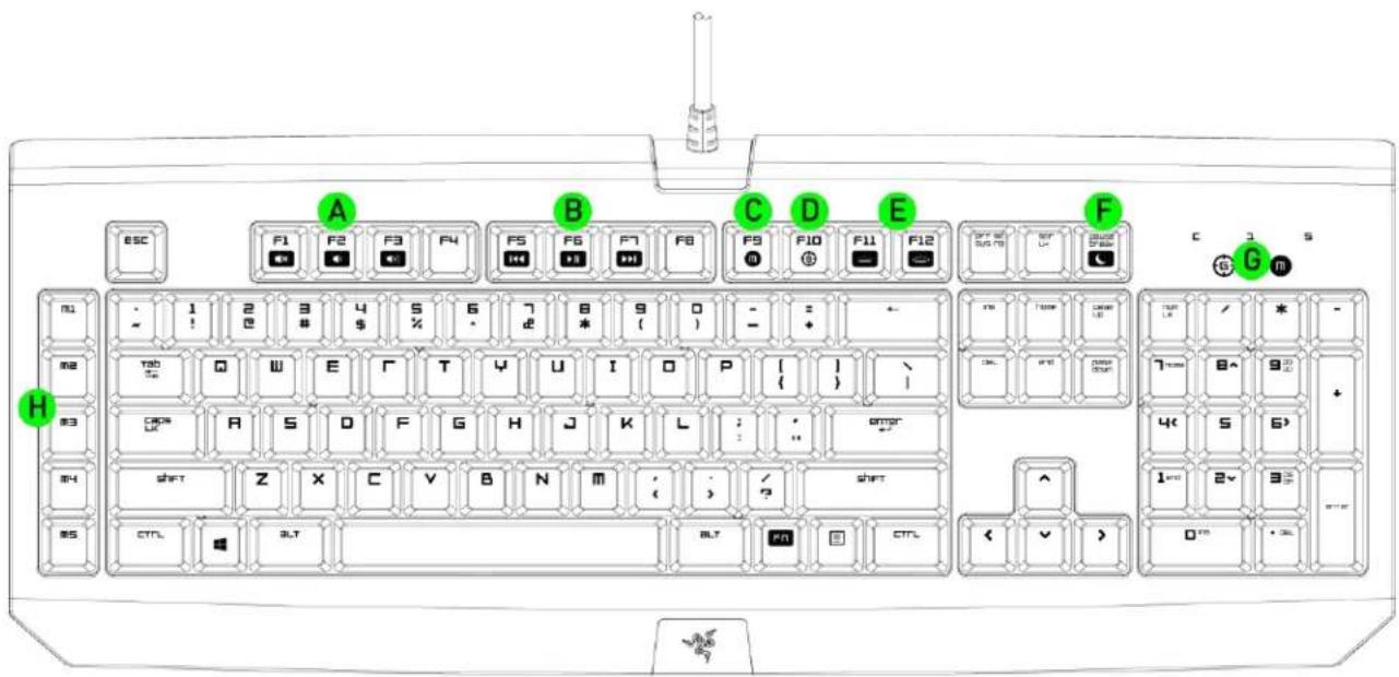 RAZER BlackWidow Ultimate - DISPOSITION DU CLAVIER - 1