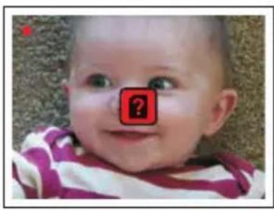 dnt Digiscan TV 9.0 - Fonctionnement - 1