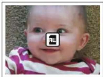 dnt Digiscan TV 9.0 - Fonctionnement - 3