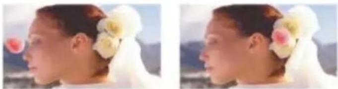 COREL Painter 2015 - Déplacement de plans - 1