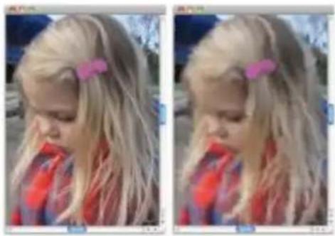 COREL Painter 2015 - Flux de travail 1 : Commencer à travailler sur une photo - 1