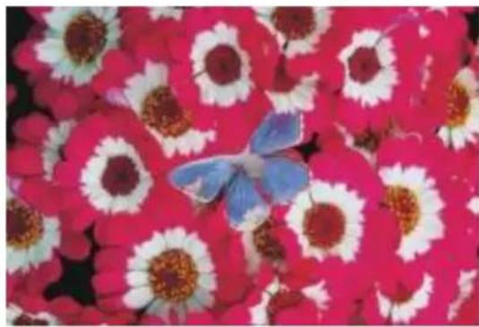 COREL Painter 2015 - Normal - 1