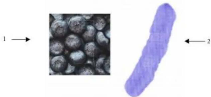 COREL Painter 2015 - Personnalisation de cartes de flux - 1