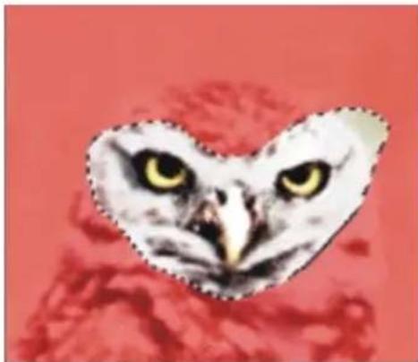 COREL Painter 2015 - Combinaison de sélections lors de l'enregistrement ou du chargement de canaux alpha - 5