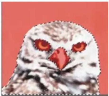 COREL Painter 2015 - Combinaison de sélections lors de l'enregistrement ou du chargement de canaux alpha - 4