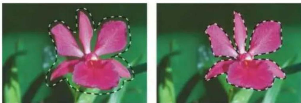 COREL Painter 2015 - Pour retirer une zone de la sélection - 2