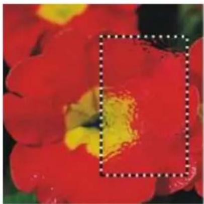 COREL Painter 2015 - Application de l'extension dynamique Sous-verre - 1