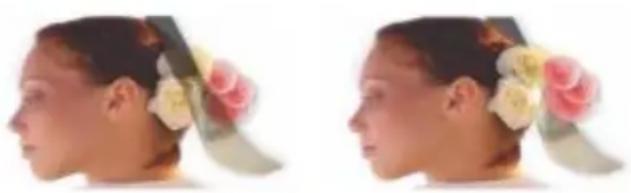 COREL Painter 2015 - Modification de l'ordre des plans - 1